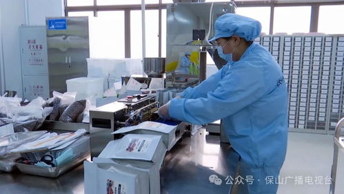 隆陽區 厚植創新驅動沃土，信息技術咨詢服務企業展現蓬勃生機