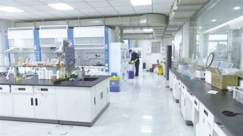 玉門以科技創(chuàng)新驅(qū)動產(chǎn)業(yè)創(chuàng)新，信息技術(shù)咨詢服務(wù)助推企業(yè)轉(zhuǎn)型