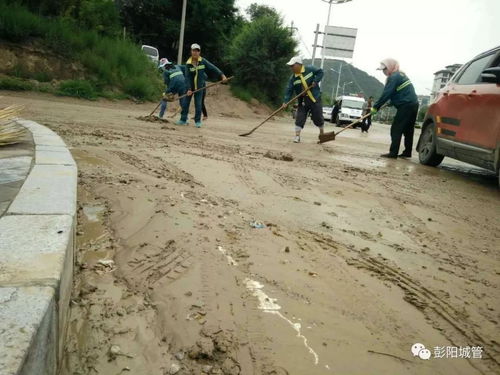 防汛救災，彭陽城管在行動——筑牢防洪除澇設施管理“安全堤”